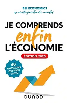 livre BSI 2020